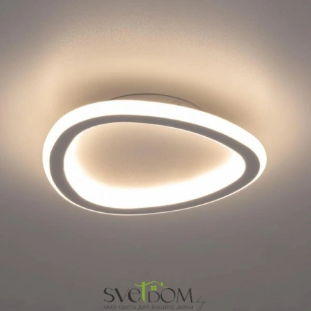 Потолочные светильники CITILUX CL215B220 от Магазина Svetdom.by