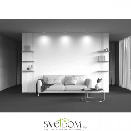 Потолочные светильники Maytoni C086CL-GX53-SRD-W от Магазина Svetdom.by