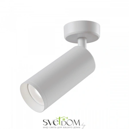 Потолочные светильники Maytoni C017CW-01W от Магазина Svetdom.by