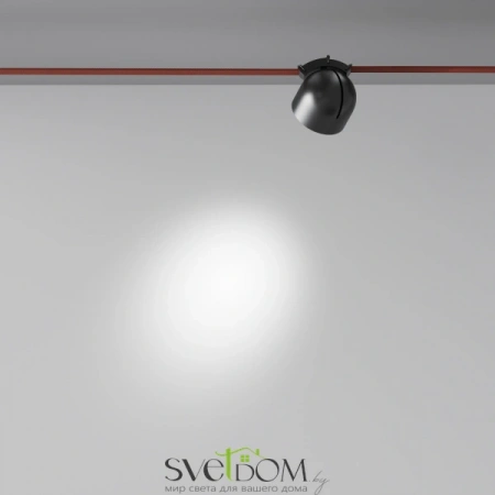 TR124B-12W4K-M-B Maytoni