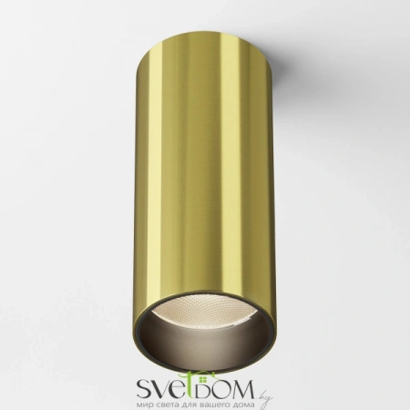 Потолочные светильники Maytoni C056CL-L12W3K-W-BS от Магазина Svetdom.by