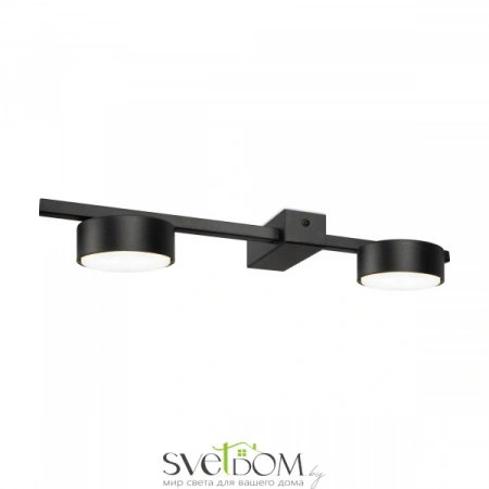 Потолочные светильники Freya FR5363CL-02B от Магазина Svetdom.by