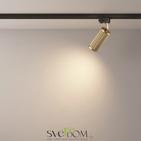 TR011-1-GU10-G Maytoni