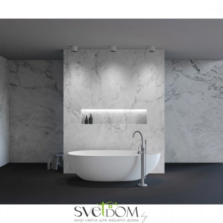 Потолочные светильники Maytoni C064CL-01-25W4K-D-RD-WB от Магазина Svetdom.by