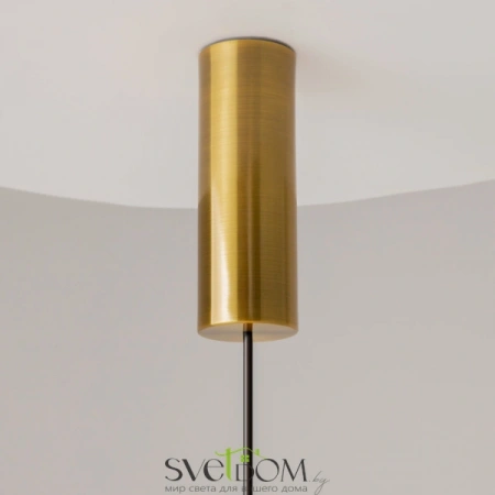 Подвесные светильники Maytoni MOD253PL-L18BS3K2 от Магазина Svetdom.by