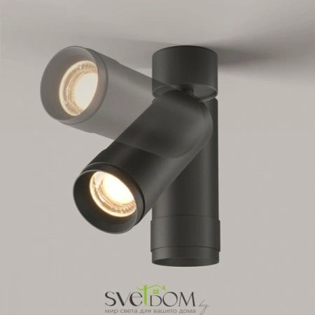 Потолочные светильники Maytoni C055CL-L12W3K-Z-B от Магазина Svetdom.by