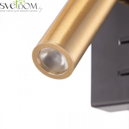 Бра CL704481 CITILUX | Svetdom.by