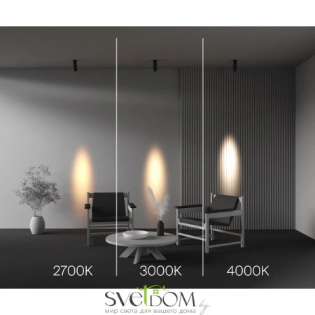 Потолочные светильники Maytoni C055CL-L12W2.7K-SS-B от Магазина Svetdom.by