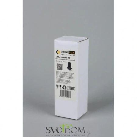Накладные светильники Omnilux OML-100219-10 от Магазина Svetdom.by
