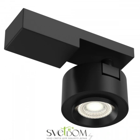Фото Светильники Maytoni C062CL-L12B3K Светильники Maytoni C062CL-L12B3K от Магазина Svetdom.by