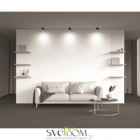 Потолочные светильники Maytoni C086CM-GX53-MRD-B от Магазина Svetdom.by