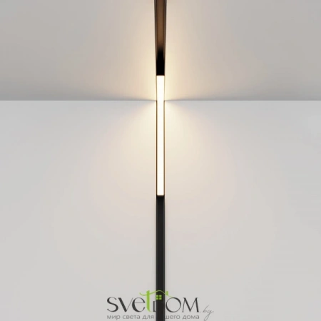 TR102-24W-DS-B Maytoni