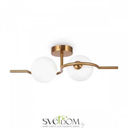 Бра и настенные светильники FR5124WL-02BS Freya | Svetdom.by