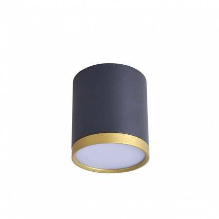 Потолочные светильники Favourite 3081-1C от Магазина Svetdom.by