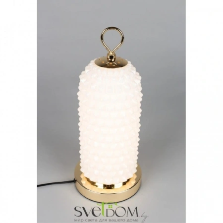 APL.332.04.10 Aployt