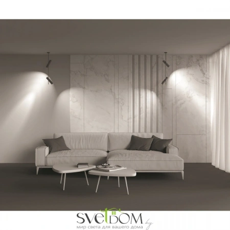 Потолочные светильники Maytoni C021CL-02B от Магазина Svetdom.by