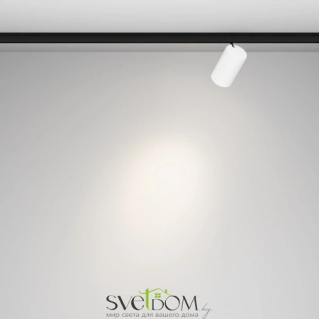 TR187-1-9W4K-M-BW Maytoni