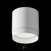 Потолочный светильник Technical C088CL-GX53-W Maytoni