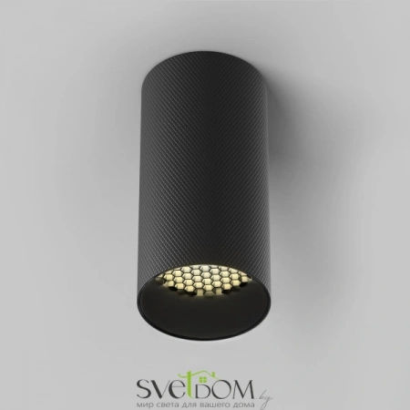 Потолочные светильники Maytoni C080CL-01-GU10-B от Магазина Svetdom.by