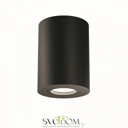 Потолочные светильники Maytoni C016CL-01B от Магазина Svetdom.by