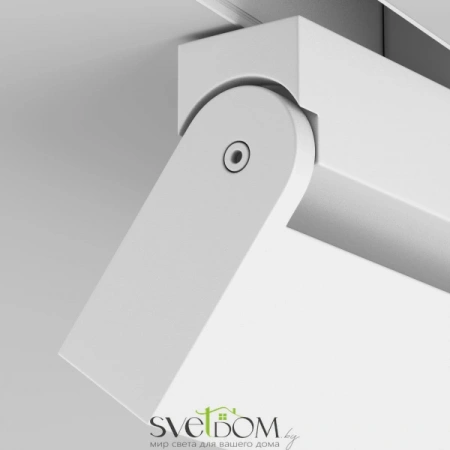 TR077-2-20W3K-W Maytoni