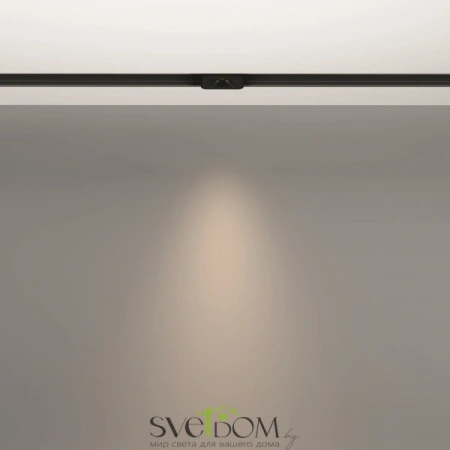 TR100-2-2W4K-S-B Maytoni