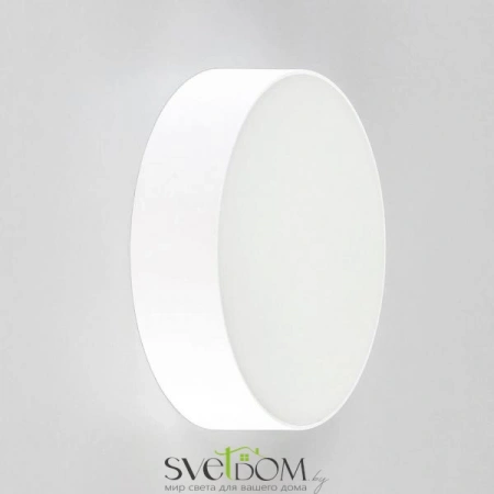 Накладные светильники CITILUX CL712120N от Магазина Svetdom.by