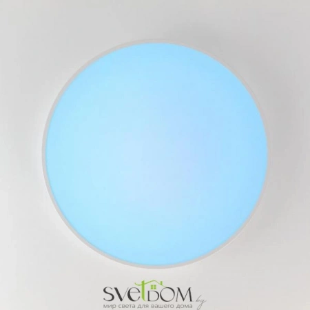 Потолочные светильники CITILUX CL724105G0 от Магазина Svetdom.by