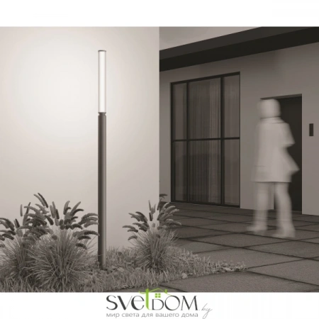 O593FL-L20GF3K Maytoni