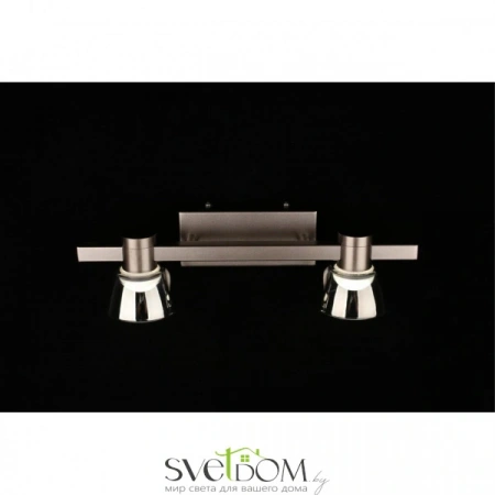 Настенные светильники APL.788.01.02 Aployt | Svetdom.by