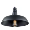 Подвесной светильник Citilux Эдисон CL450204 CITILUX