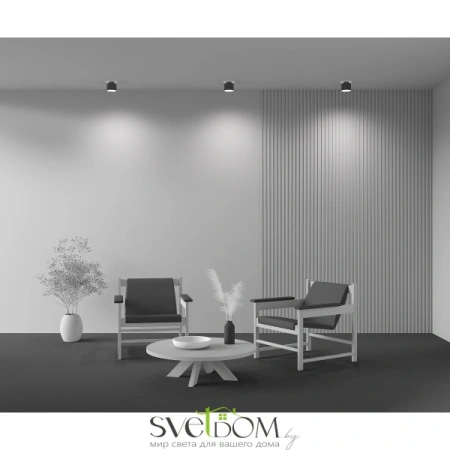 Потолочные светильники Maytoni C009CW-L12B4K от Магазина Svetdom.by