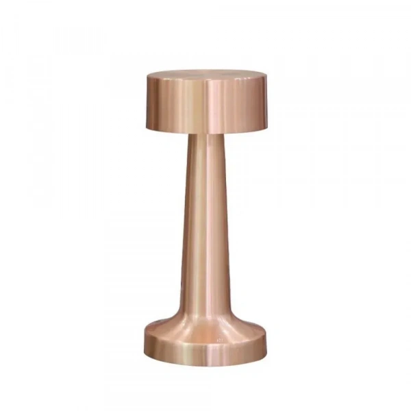 Настольная лампа Aployt  APL.671.04.01