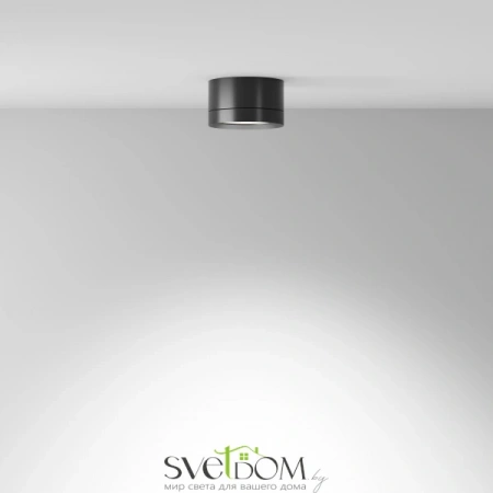 Потолочные светильники Maytoni C086CL-GX53-SRD-B от Магазина Svetdom.by