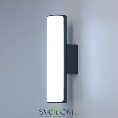 Citilux CLU0007 LED Уличный светильник Графит CITILUX
