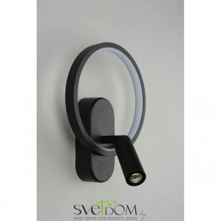 Настенные светильники APL.346.01.02 Aployt | Svetdom.by