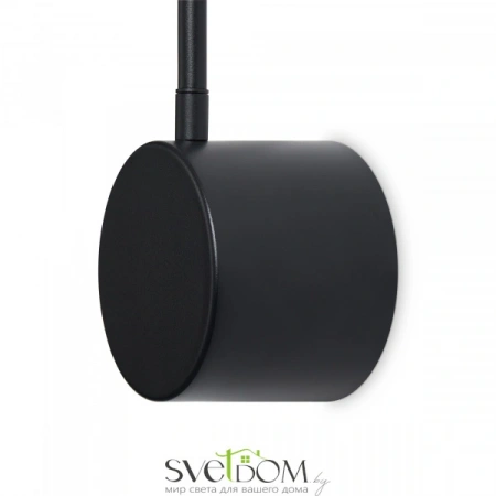 Настенные светильники FR5549WL-L4B Freya | Svetdom.by