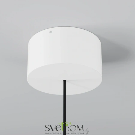 Подвесные светильники Maytoni O491PL-L6W3K от Магазина Svetdom.by