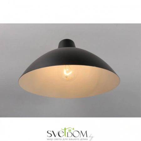 Настенные светильники APL.632.01.01 Aployt | Svetdom.by