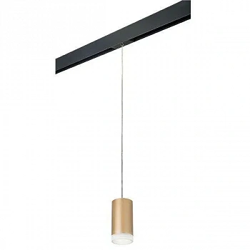 Lightstar PRORP44030 Светильник д/1-фазн трека RULLO HP16 (214440+595857+202430)