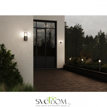 Настенные светильники O492WL-01GF Maytoni | Svetdom.by