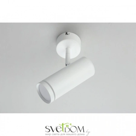 Настенно-потолочные светильники Omnilux OML-102219-12 от Магазина Svetdom.by