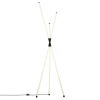 Торшер Citilux LUCIA CL217961 CITILUX