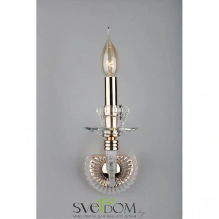 Настенные светильники APL.701.01.01 Aployt | Svetdom.by