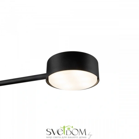 Потолочные светильники Freya FR5363CL-02B1 от Магазина Svetdom.by