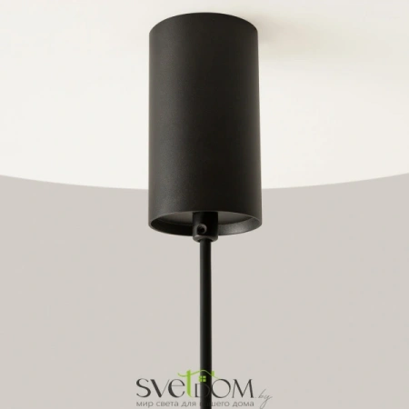 Подвесные светильники Maytoni P105PL-12W3K-B от Магазина Svetdom.by