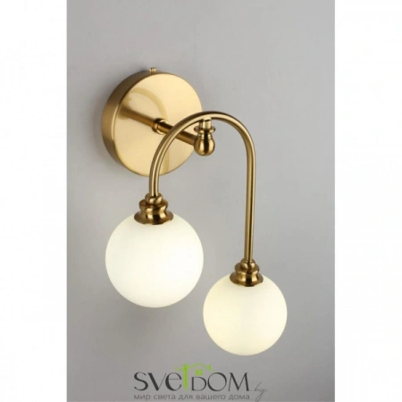 Настенные светильники APL.839.01.02 Aployt | Svetdom.by