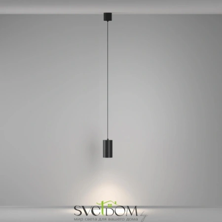 Подвесные светильники Maytoni P100PL-20W4K-B от Магазина Svetdom.by