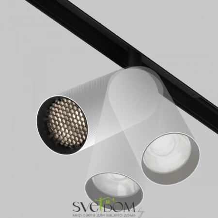 TR097-2-12W4K-M-BW Maytoni