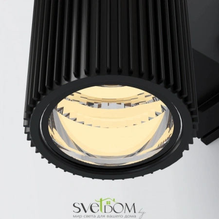 Настенные светильники O419WL-02B Maytoni | Svetdom.by